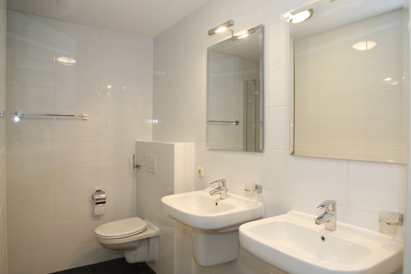 Goudplevier Wellness Plus 8 Personen