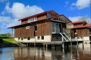 Goudplevier Comfort 10